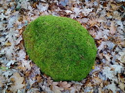 Валун з натурального каменю