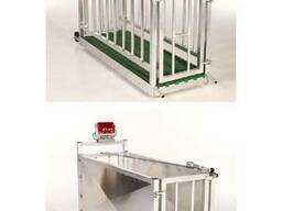 Веса для животных