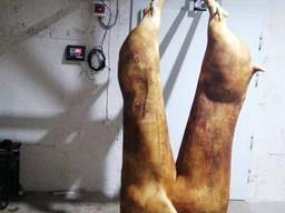 Ваги монорейкові 150, 300, 600 кг