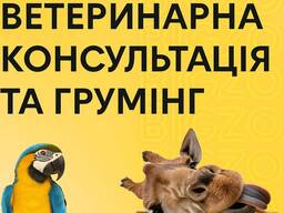 Ветеринарія для різних тваринок, навіть екзотичний. Консультація, огляд та лікування