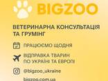 Ветеринарна консультація, грумінг послуги для екзотичних тварин та усіх інших - фото 1