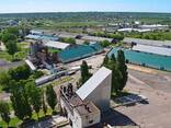 Від власника. Продаю чудовий елеватор в Одеській області. - фото 4