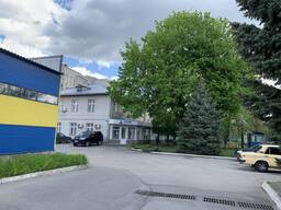 Віддамо даром зламане дерево на дрова