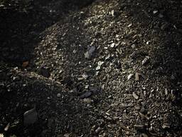 Відсів деревного вугілля