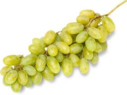 Виноград сортов Хусайни из Узбекистана