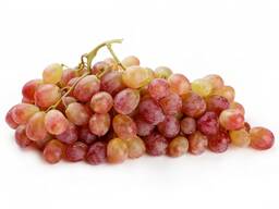 Виноград сорта тайфи из Узбекистана