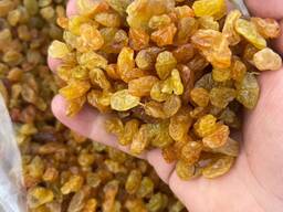 Виноград сушеный желтый (Golden) 3 сорт.