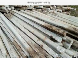 Виноградные столбики в Кривом Озере Любашевка Балта Саврань