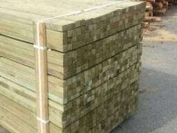 Акация колья