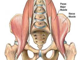 Висцеральный массаж с выездом на дом (Харьков)