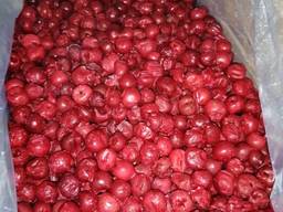 Вишня б\к Украина ш\з