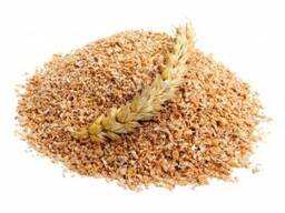 Висівки пшеничні отруби пшеничные