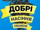 Високоякісне смажене насіння соняшнику ТМ ДОБРІ - фото 1