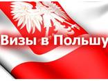 Сезонные, по без визу, приглашения , страховки , анкеты - фото 1