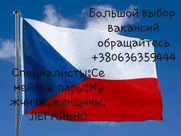 Віза та робота в Чехии і Польщі