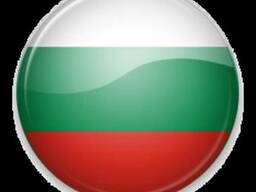 Виза в Болгарию MULT 90180 без личного присутствия