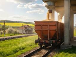 Візьму у оренду ЗРВ вагони , хопери надовгий строк