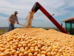 Візьму в оренду комбайни з екіпажем