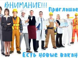 Визовая поддержка
