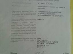 Визовая поддержка и работа