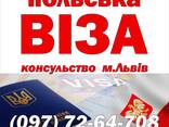 Візи в Польщу - фото 1