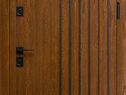 Вхідні двері для приватного будинку ТРОЯ