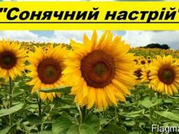 Соняшникове насіння Сонячний настрій