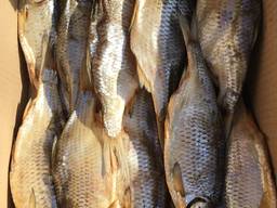 Вобла с икрой