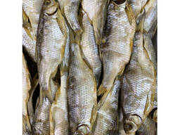 Вобла вяленая с икрой крупная