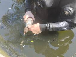 Водолаз