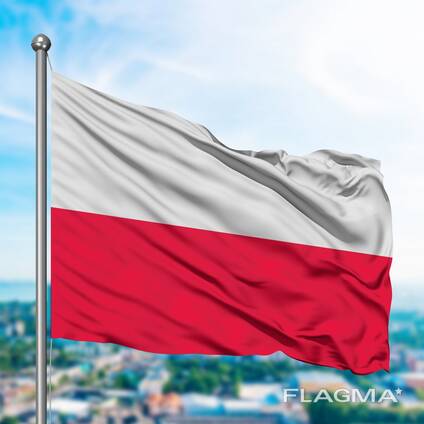 Воєводська віза на 36 місяців (дозвіл на роботу від транспортної компанії)