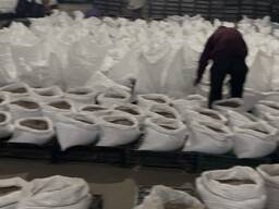 Воздушка чеснока