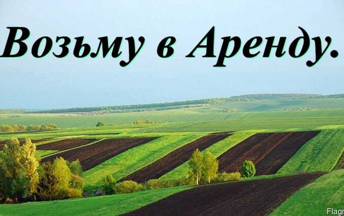 Возьму в аренду сельхоз земли в Царичанском районе