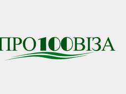 Встигніть замовити візу до по Польщі по старій ціні