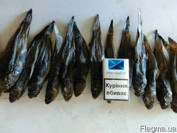Вяленый (солено-сушенный)бычок от производителя