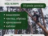 Видалення деревев. Косіння трави, Розчистка територій. Вантажоперевезення - фото 1