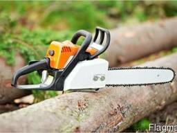 Выпил деревьев