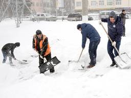 Спил Деревьев, уборка снега