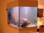 Вырезка стекол для аквариума, террариума - фото 1