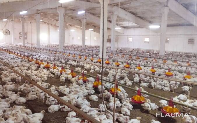 Виробничо-майновий комплекс (діючий бізнес)