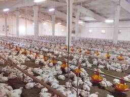 Виробничо-майновий комплекс (діючий бізнес)