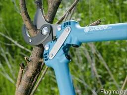 Высадка деревьев, благоусройство участков, планировка участк