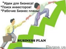 Вышлем Бизнес план для получения инвестиций