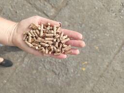 Паливна пелета