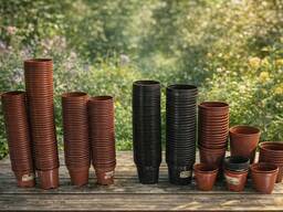 Вживані горщики за півціни