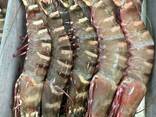 What can you offer today? Lobster Big shrimps Cuttlefish Mussels Octopus Fish fillets Ca - фото 2