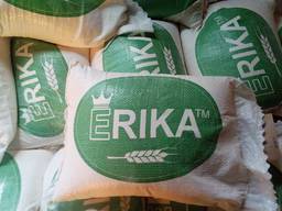 Wheat Flour