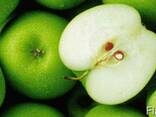 Яблочный концентрат, пектиносодержащий из цельных яблок - фото 1