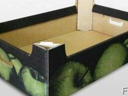 Яблочный лоток. Евролоток.