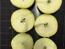 Яблоко закупка